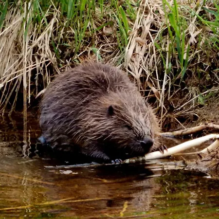 Apartmán Stožec Apartmán