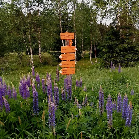 Apartmán Apartmán Stožec