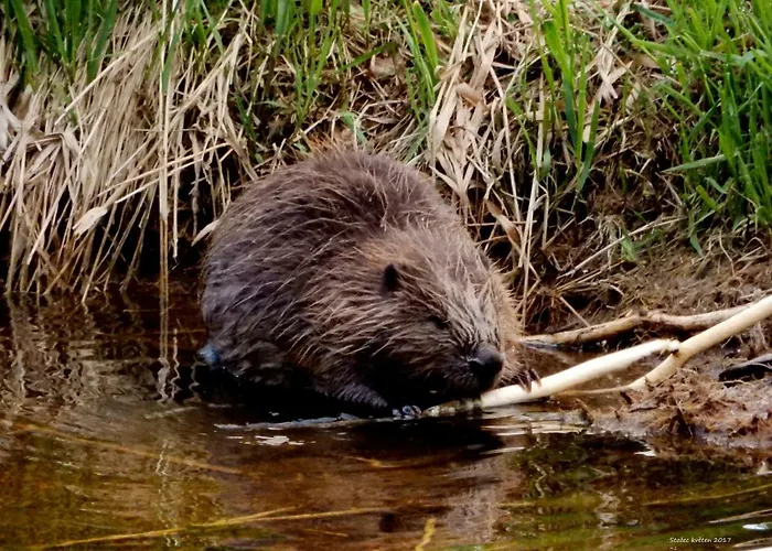 Apartman Stozec Διαμέρισμα